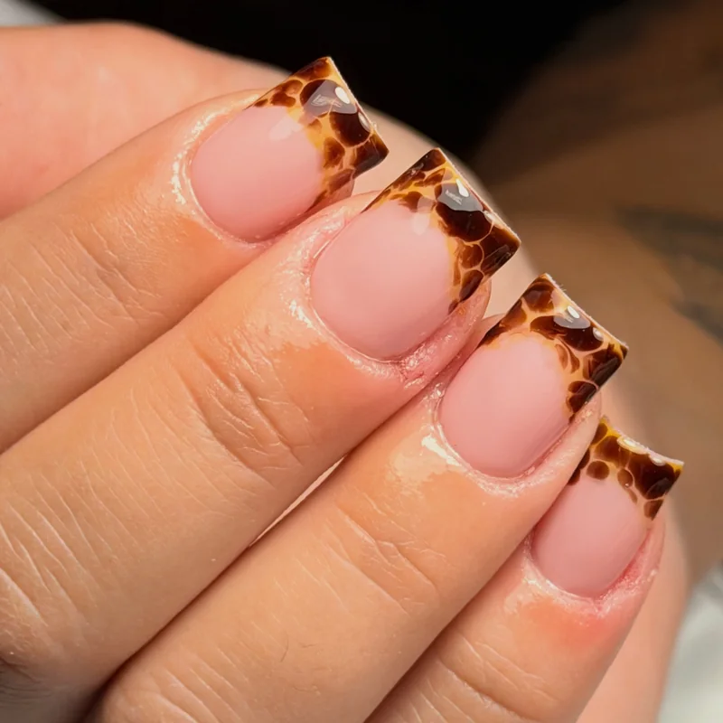 Short square nails with a sheer pink base and glossy brown tortoiseshell French tips.